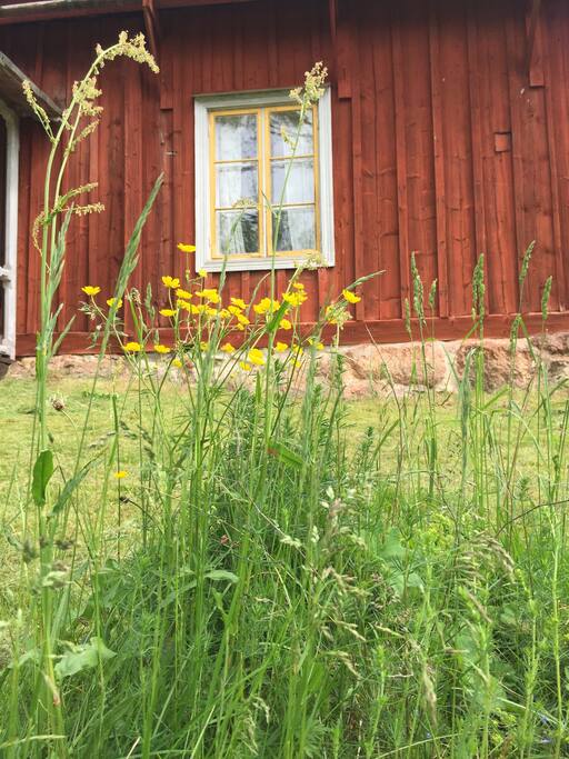 Starketorp framsida