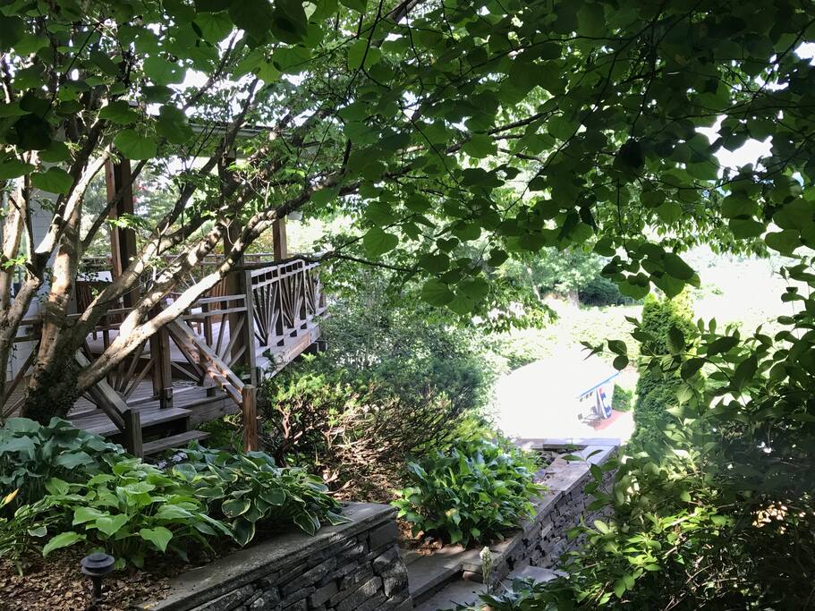 View of back deck