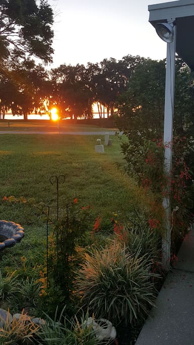Summer Sunrise