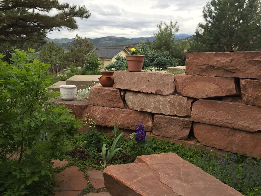View from French doors with foliage