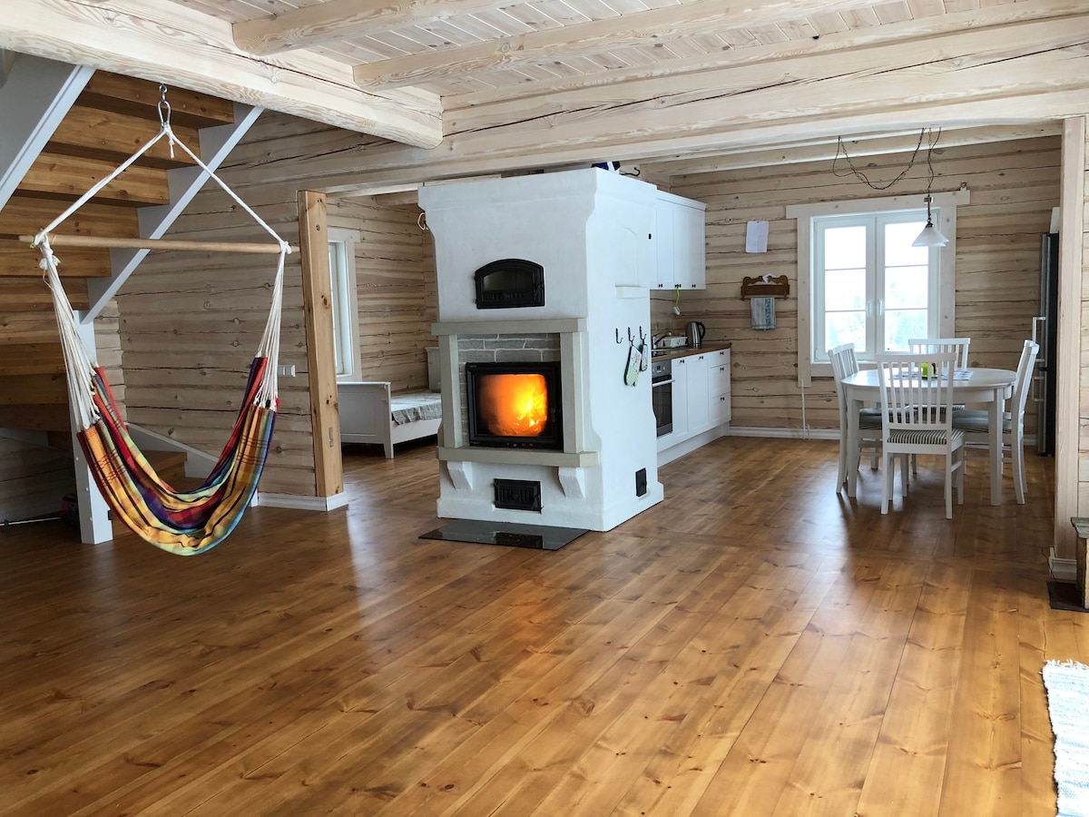 An open living area features natural wood paneling and a warm fireplace as the focal point. A dining table with white chairs is positioned beside a kitchen area. A colorful hammock hangs from the ceiling, inviting relaxation in a cozy atmosphere.