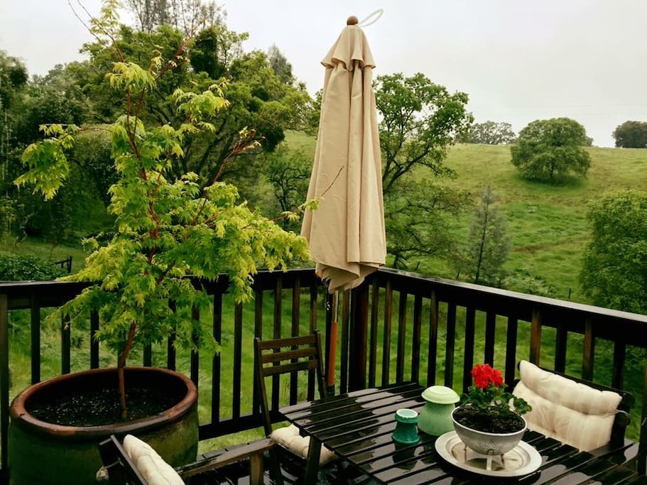 Back deck.
