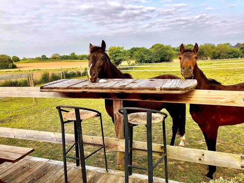 Accommodation between land and sea 3 bedrooms 6 people.