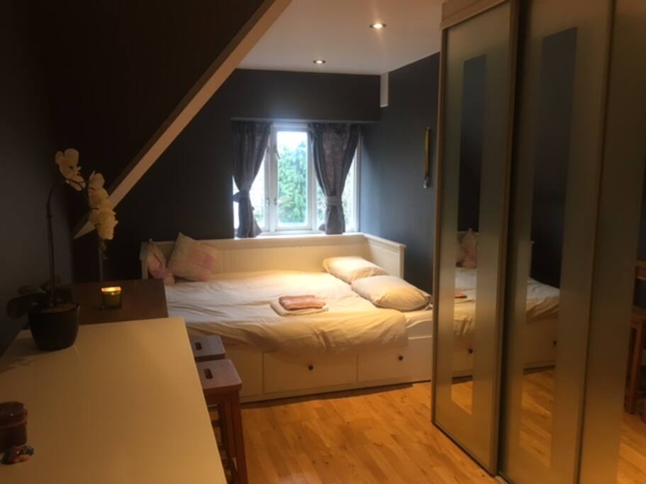 your room with couch bed opened
