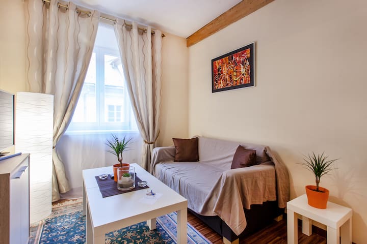 Gratitude & Harmony Wellstay in old Ljubljana*