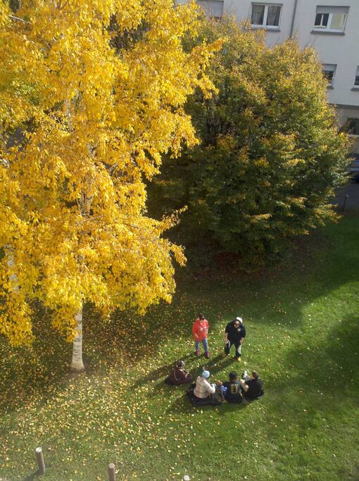 View from the apartment