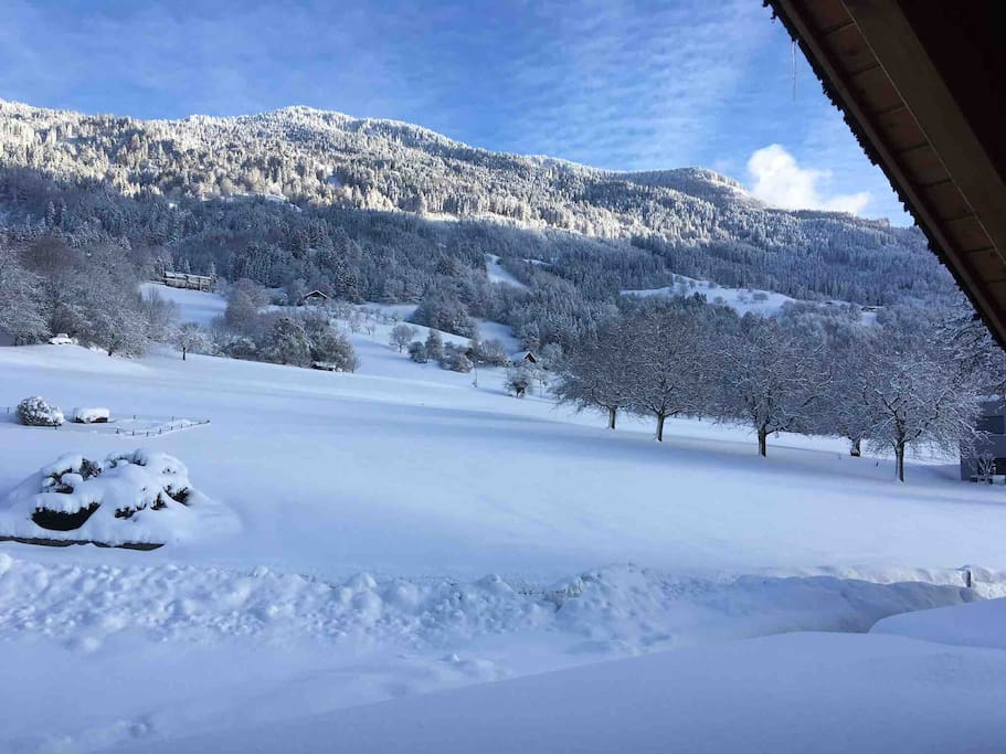 Blick nach Norden