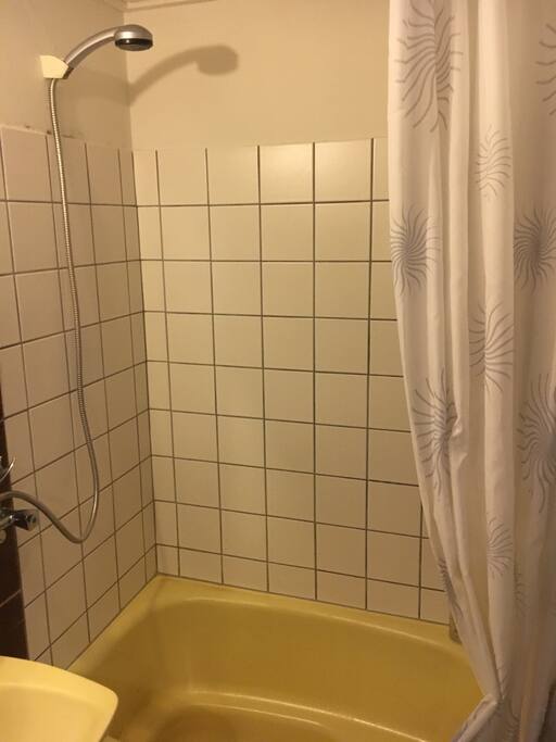Bathroom. Small, but with shower and a small tube.