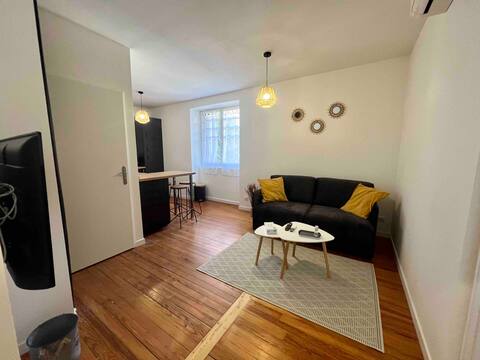 3 Air-conditioned apartments Gare Viotte |10 prsn