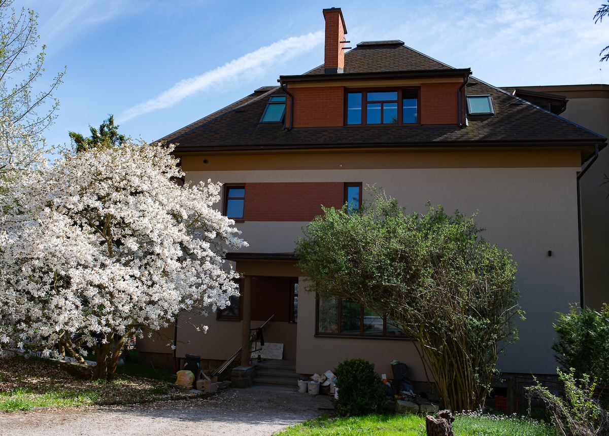 A multi-story villa is surrounded by lush greenery and white flowering trees. The entrance features a set of steps leading to a welcoming front door. Large windows allow natural light to fill the interior spaces, enhancing the overall inviting appearance.