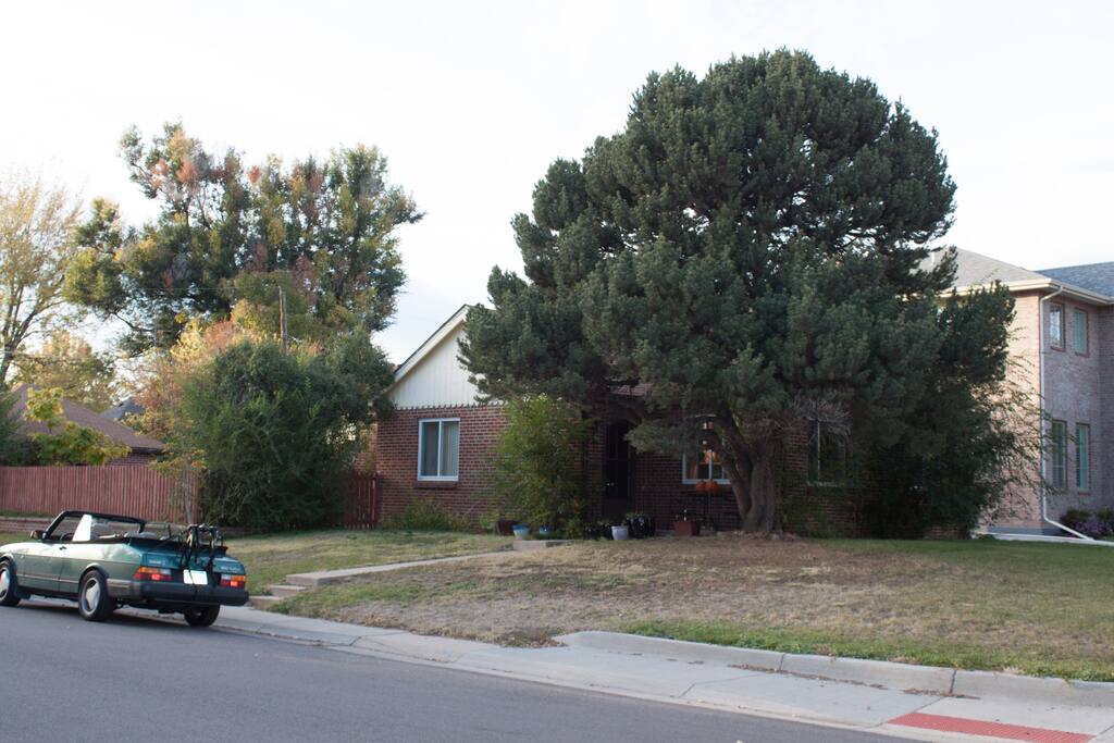 Beautiful, safe and quiet neighborhood. Tree lined streets with single family homes. Minutes from parks and restaurants. Plenty of street parking if you drive in