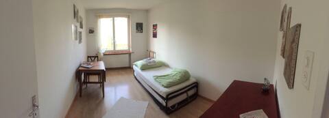 Top Airbnb: Cosy room in Zurich, little garden&friendly cat in Wollishofen