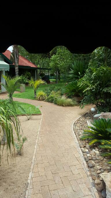 Established Garden