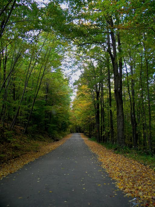 The road to home