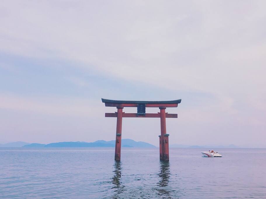 浮在水面的湖中鸟居 京都旅游攻略 尽在airbnb爱彼迎