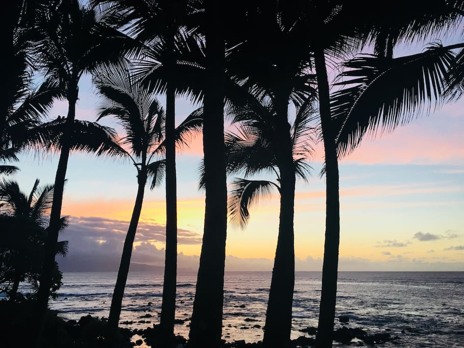 Walk to Beautiful sunsets every evening