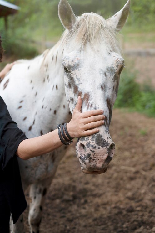 Показать полноэкранное фото от хозяина