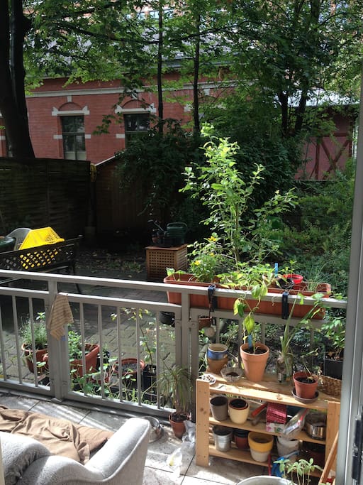 Unsere Terrasse mit Garten