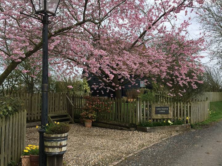 Long Thatch Lodge photo 3