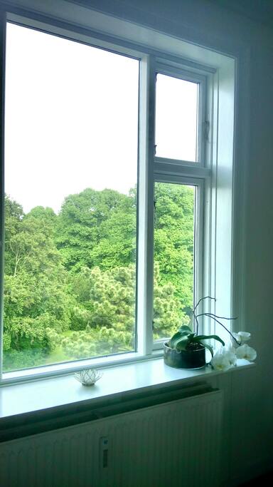 View from the living room