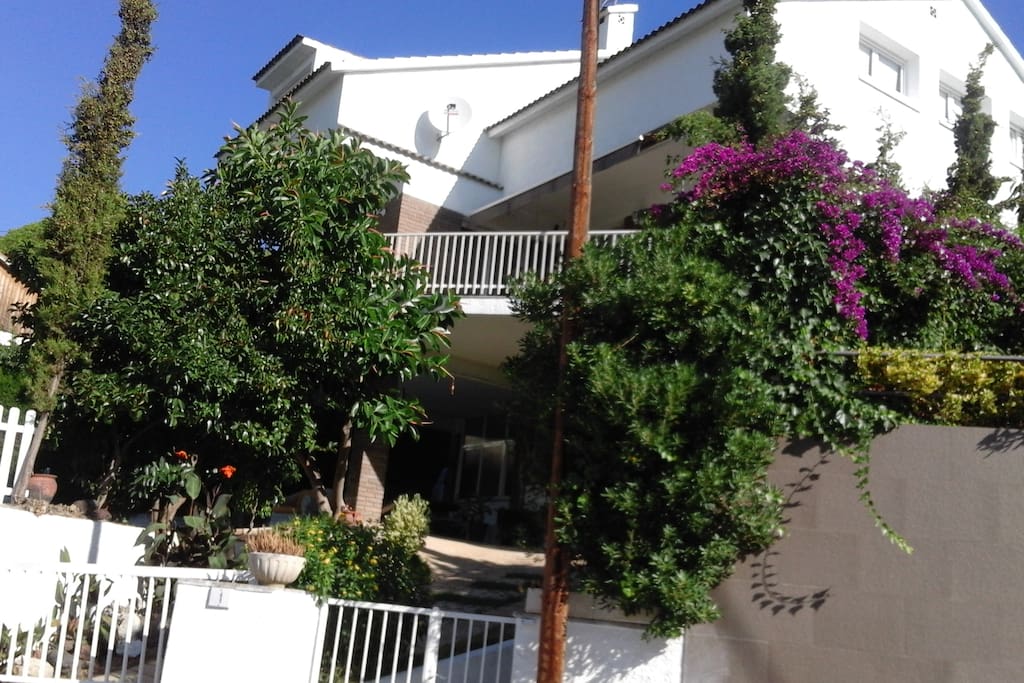 Vista desde la calle