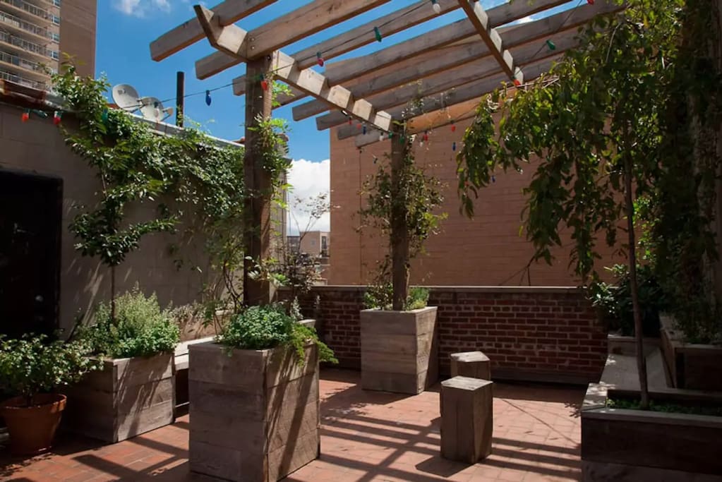 Shared Roof Garden