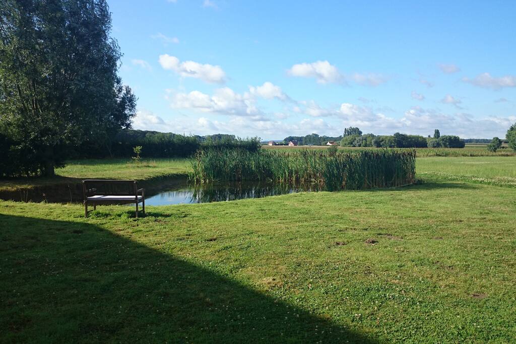 Groene omgeving