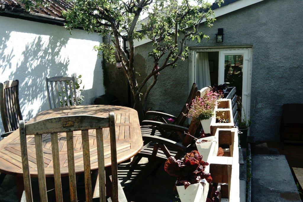 Outdoor area for guests to use