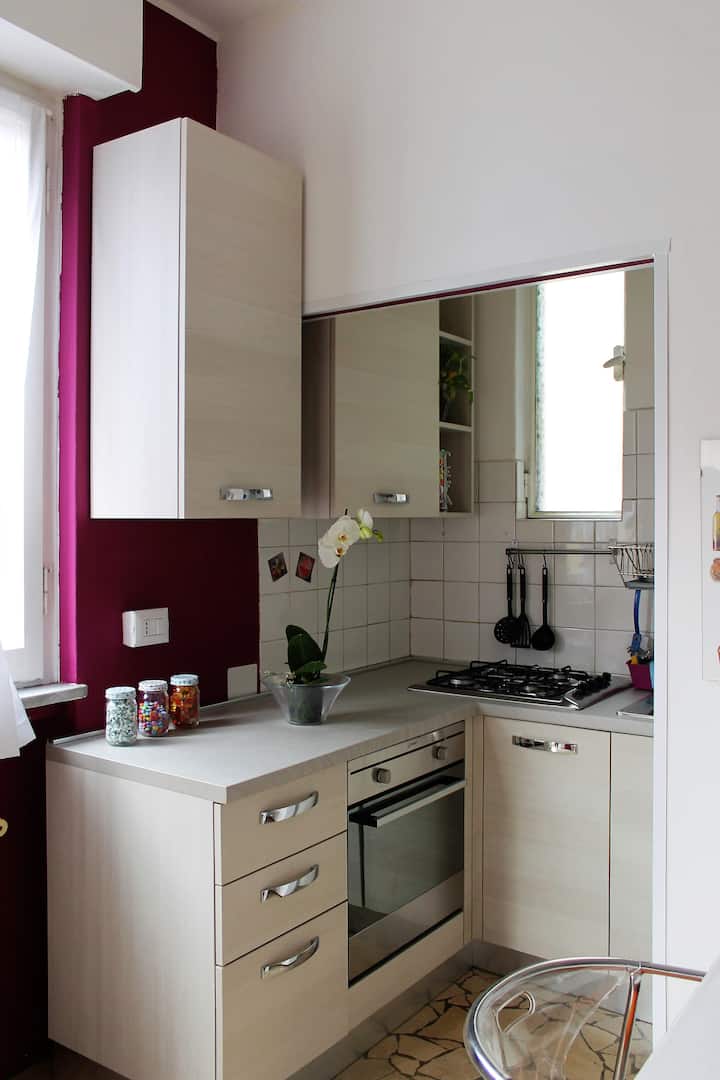 Apartment in Navigli quarter
