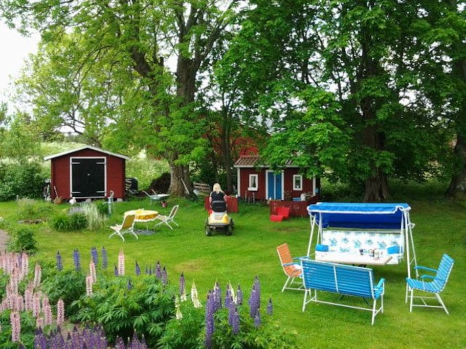 trädgården