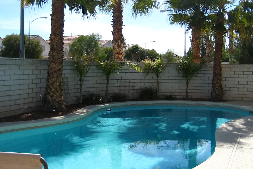 40ft Backyard Pool 2