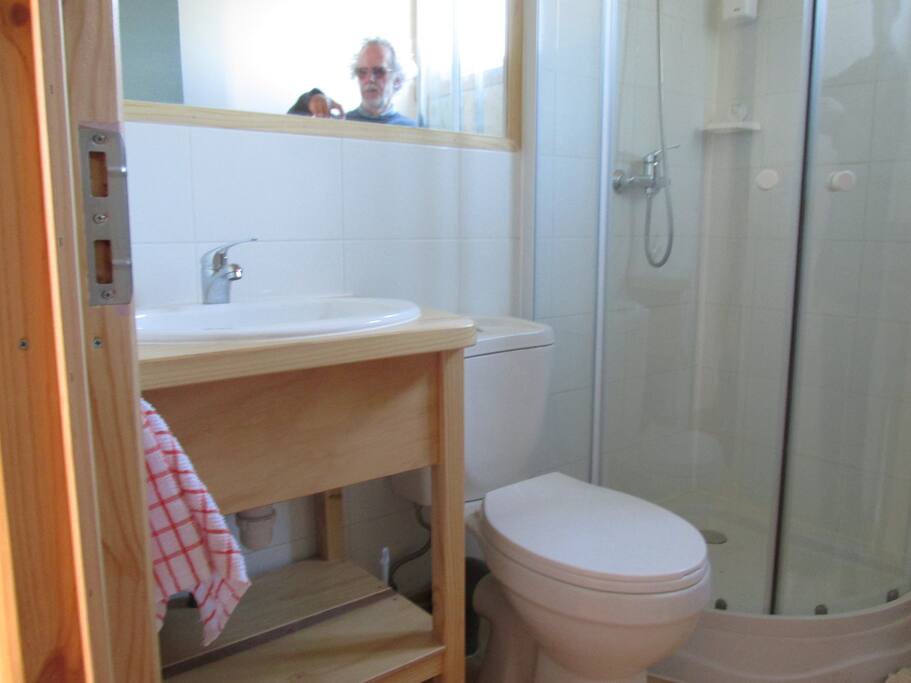 sala de baño: ducha