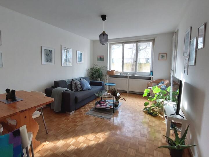 Relaxing and beautiful stylish apartment in Basel. Apartments for