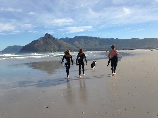 Nature’s view, beachfront estate gallery image 2