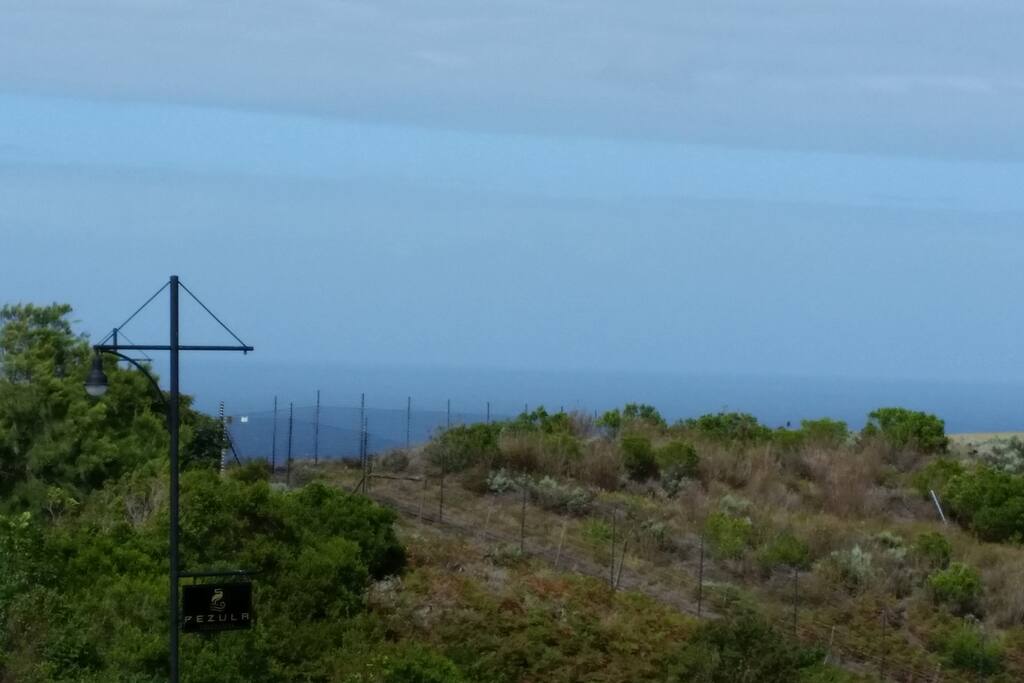 View from front of the house