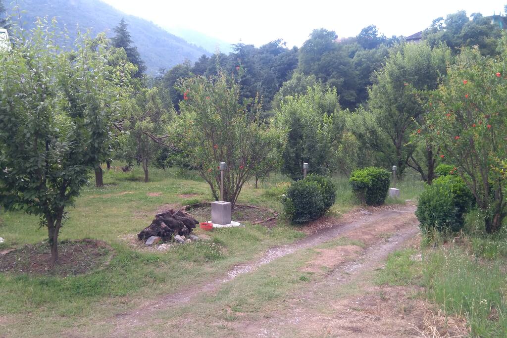 Drive In and view of a fruit Orchard