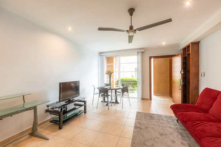 Large Living room and TV area