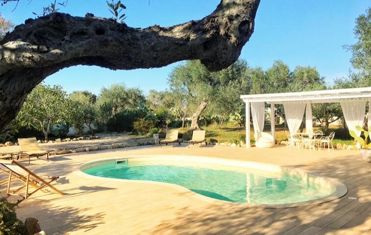 Villa di Lusso con piscina in Puglia gallery image 3