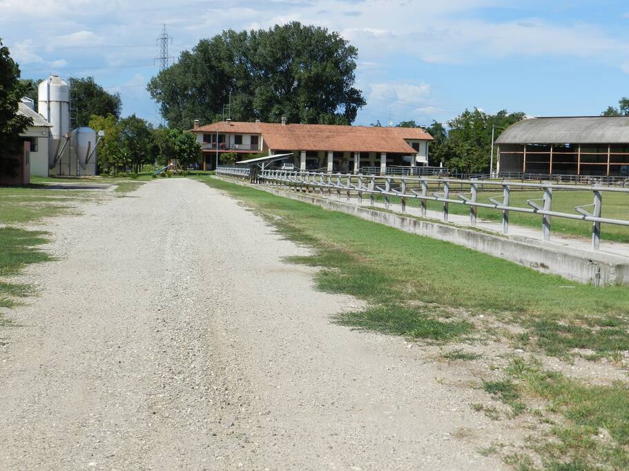 entrata