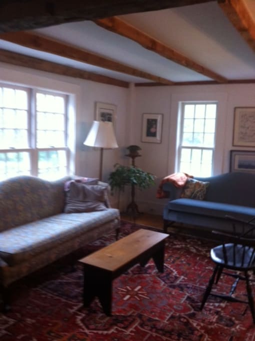 Two sofas in living room