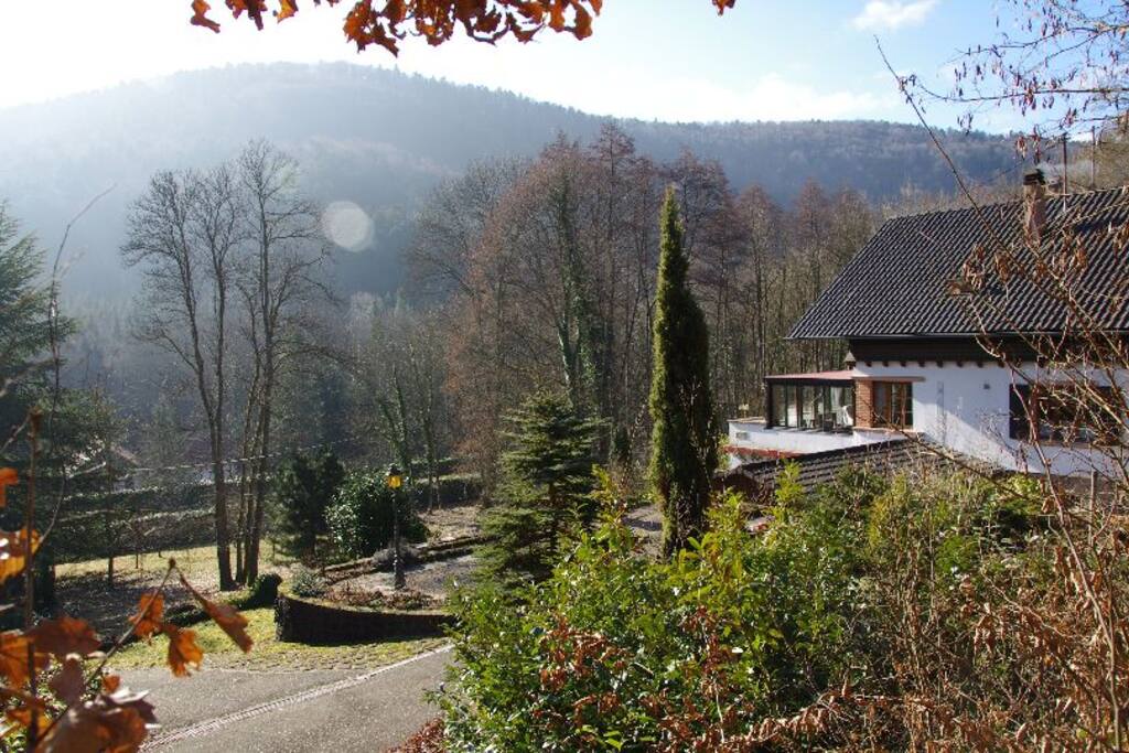 Herbststimmung