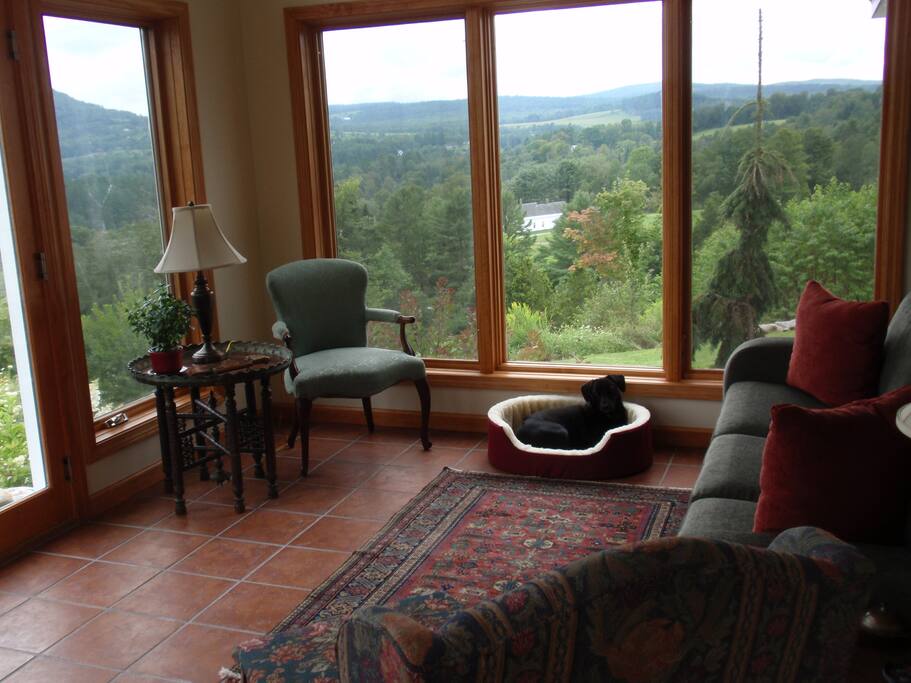 Sunroom with my dog Avo.