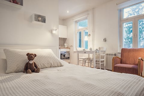 Cosy retro studio in lovely wooden neighbourhood.