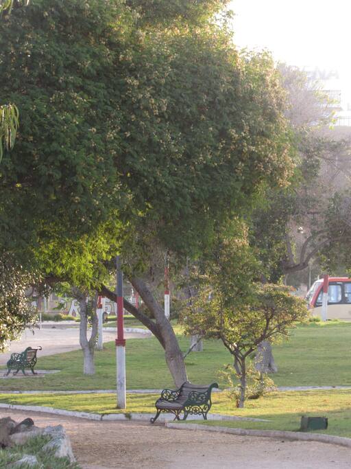 Hay un parque púbico a 100 metros. Nearest from public park.