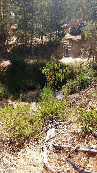 Estero natural