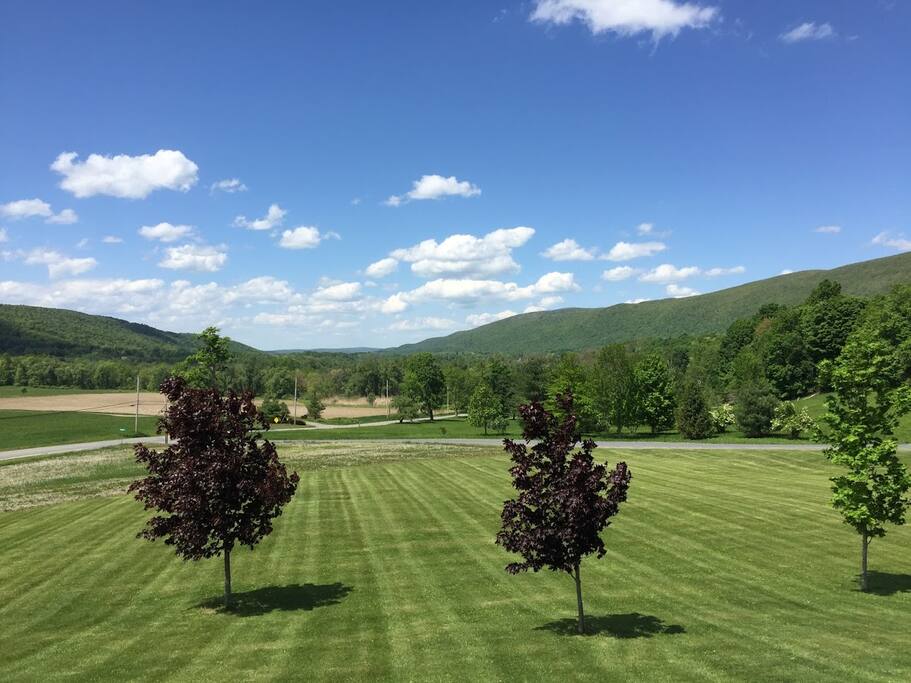 View from the front porch/front of the house