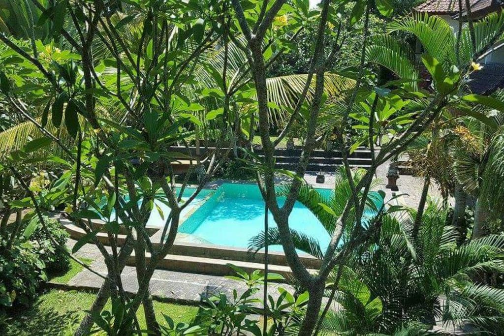 View from coconut room.