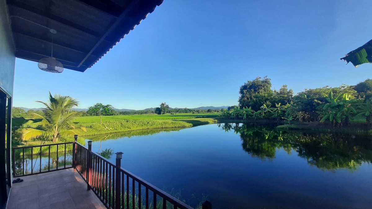 The image captures a serene view from a balcony overlooking a tranquil lake. Lush green rice fields extend to the horizon, framed by distant mountains under a clear blue sky. The peaceful landscape highlights the natural beauty surrounding the property.