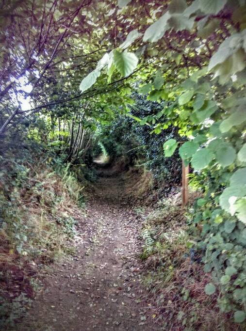 sentier pedestre