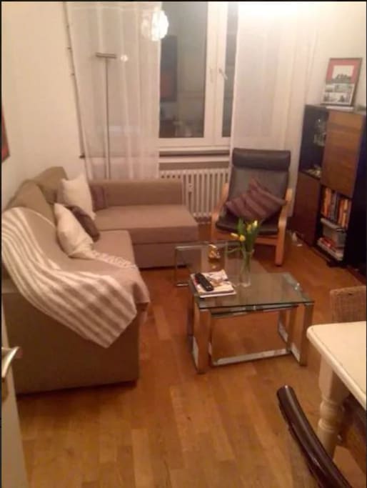 livingroom ,with comfortable couch, which could be used as a third bed